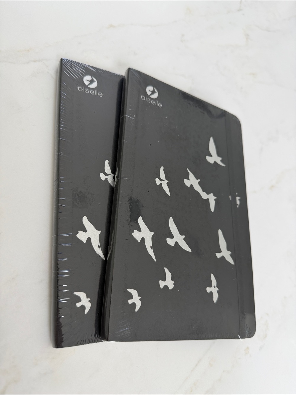 Oiselle Moleskin Notebooks (set of 2)